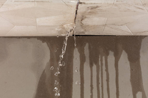 Professional Water Damage Repair technician working in Henlawson, WV